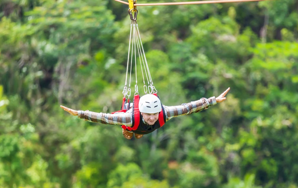 Flying Fox 